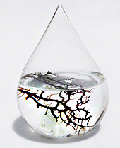 Ecosphere lamp