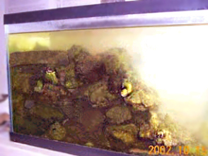 Aquarium