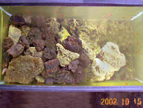 Aquarium